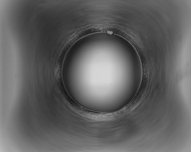 X0000116550036200912101423