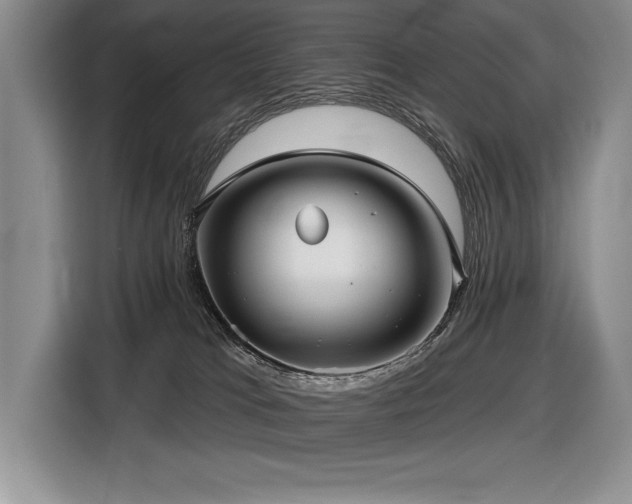 X0000116550037200912101423