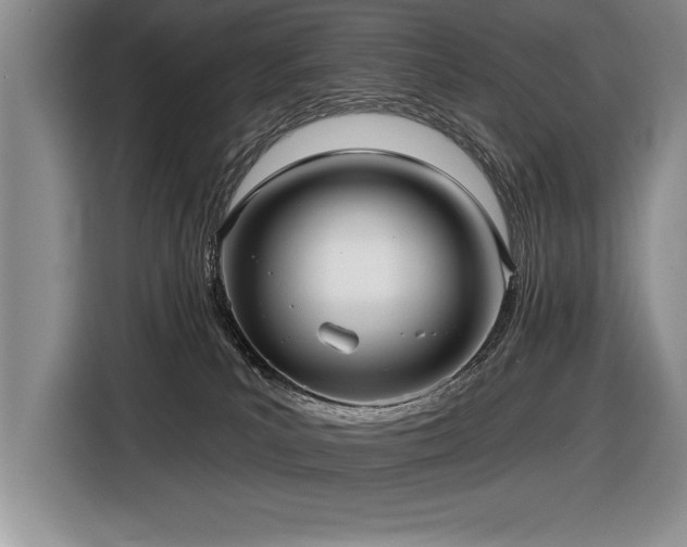 X0000116550039200912101423