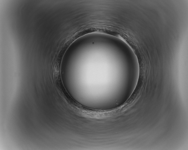 X0000116550040200912101423