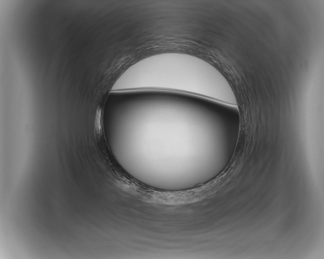 X0000116550041200912101423