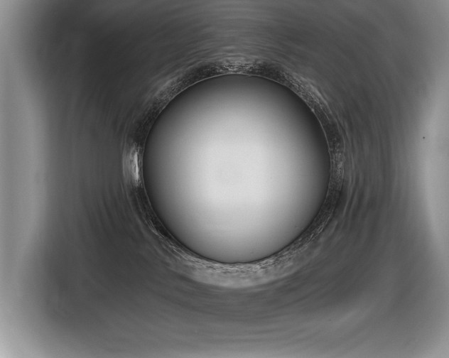 X0000116550042200912101423