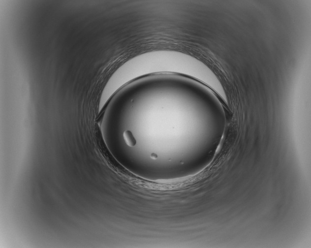 X0000116550043200912101423