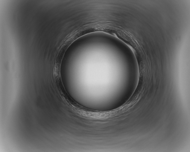 X0000116550044200912101423