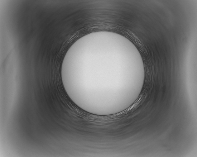 X0000116550045200912101423