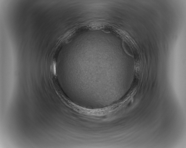 X0000116550046200912101423