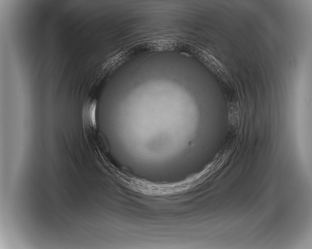 X0000116550047200912101423