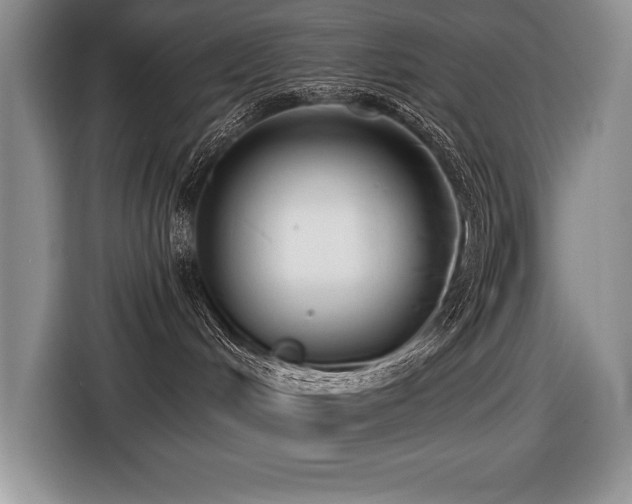 X0000116550048200912101423