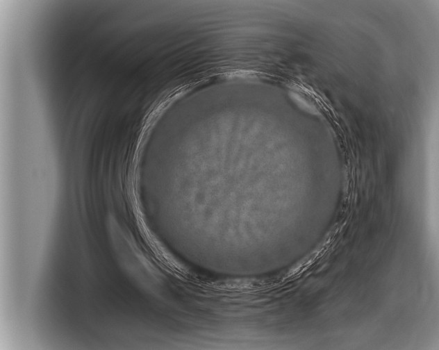 X0000116550049200912101422