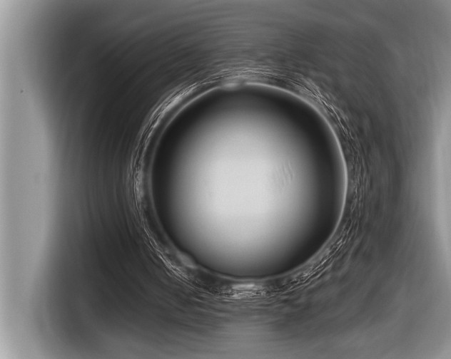 X0000116550050200912101422