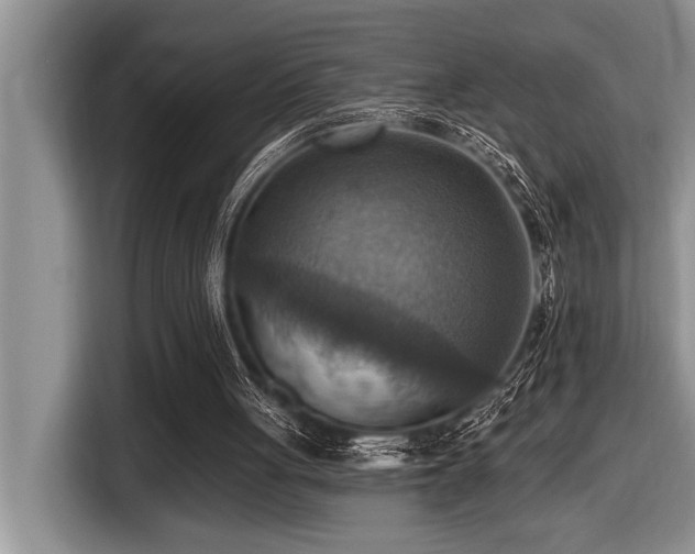 X0000116550051200912101422