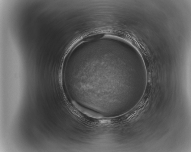 X0000116550052200912101422