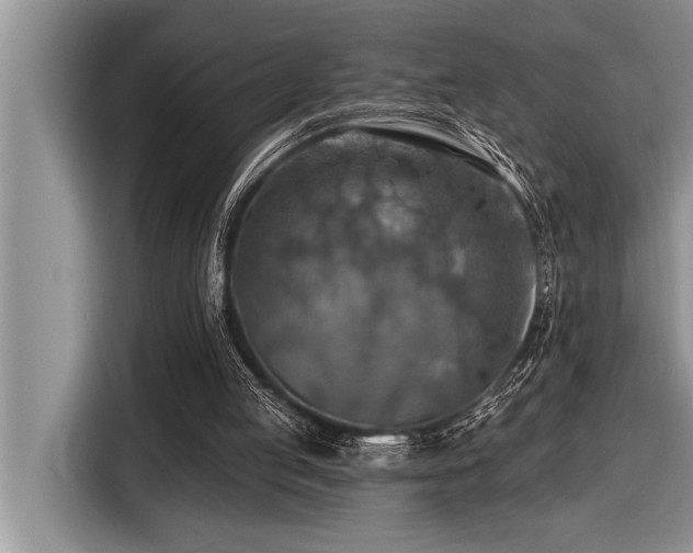 X0000116550053200912101422