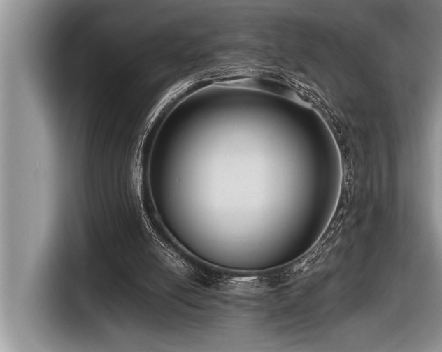 X0000116550054200912101422