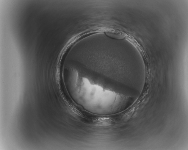 X0000116550055200912101422