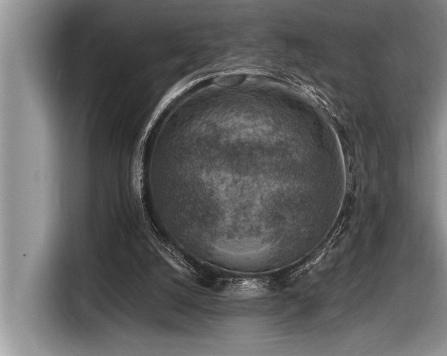 X0000116550056200912101422