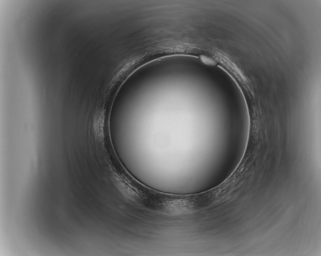 X0000116550058200912101422