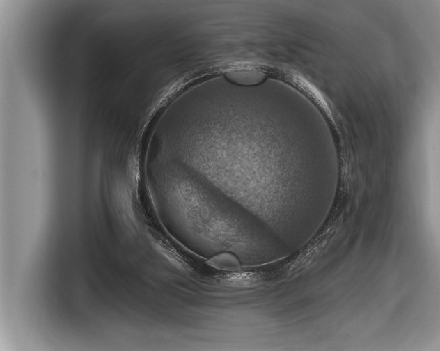 X0000116550059200912101422