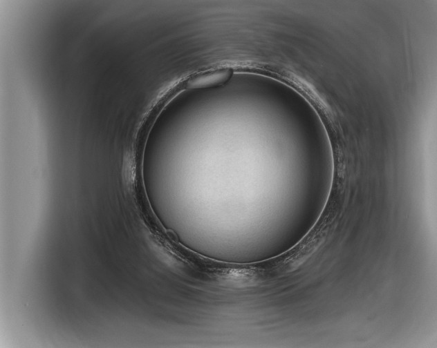 X0000116550060200912101422