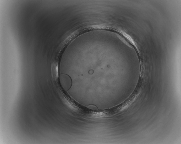 X0000116550061200912101422