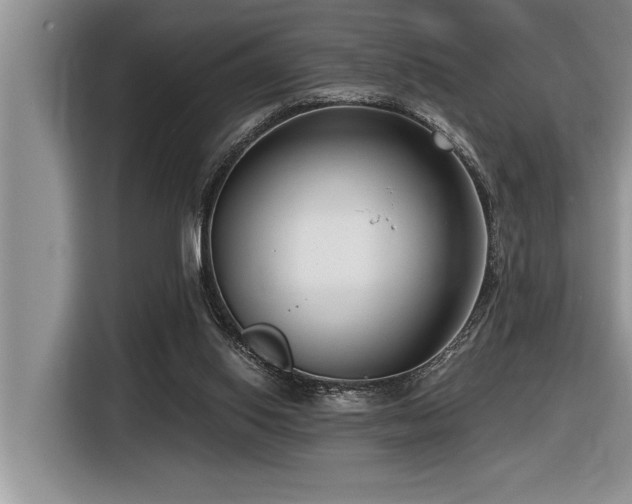 X0000116550062200912101422