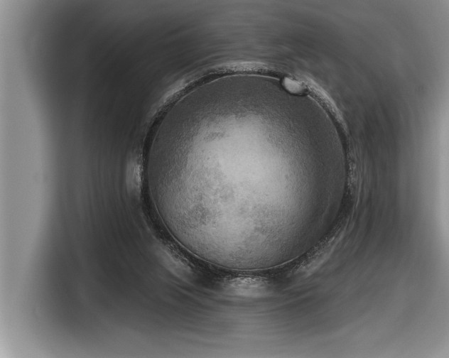 X0000116550063200912101422