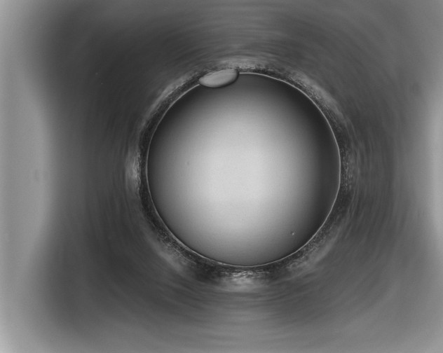 X0000116550064200912101422