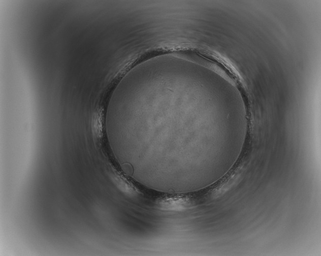 X0000116550065200912101422