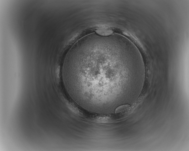 X0000116550066200912101423