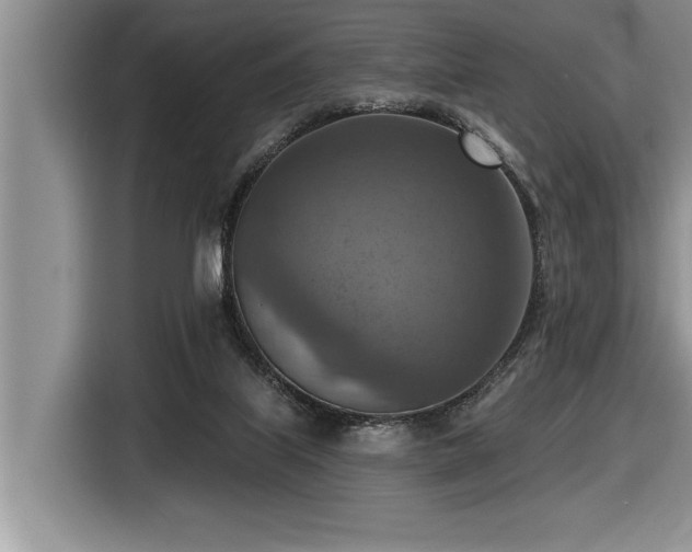 X0000116550067200912101423