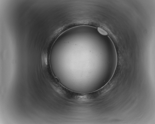 X0000116550068200912101423