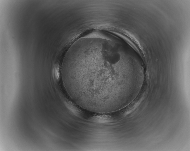 X0000116550069200912101423