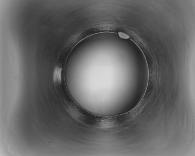 X0000116550070200912101423