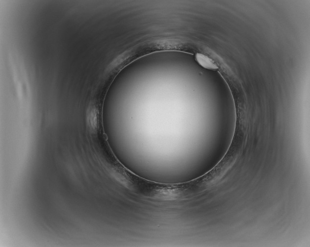 X0000116550071200912101423