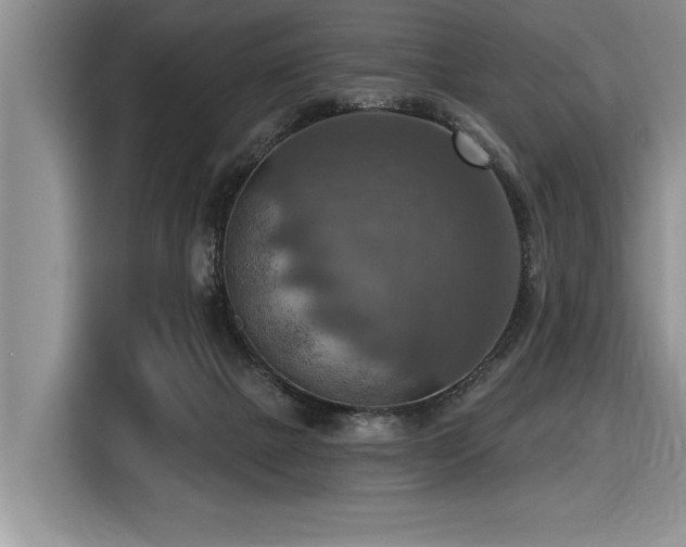 X0000116550073200912101423