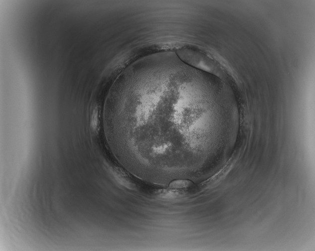 X0000116550074200912101423