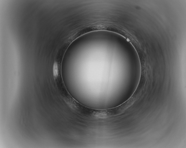 X0000116550075200912101423