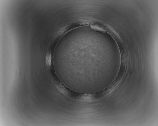 X0000116550076200912101423