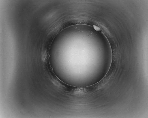 X0000116550077200912101423