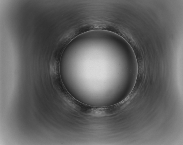 X0000116550078200912101423