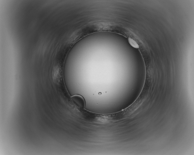 X0000116550079200912101423