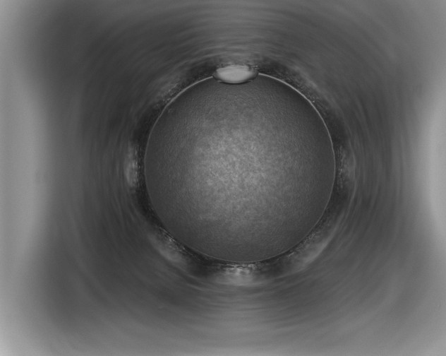 X0000116550080200912101423