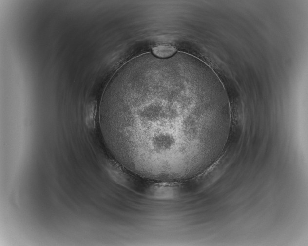 X0000116550082200912101423