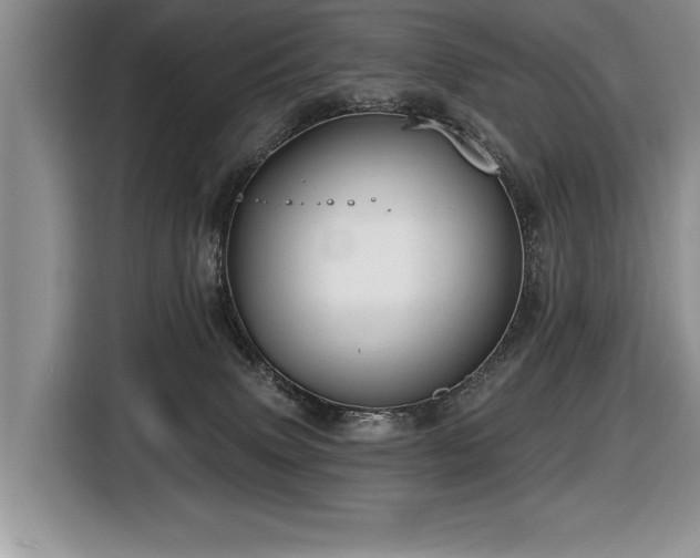 X0000116550083200912101423