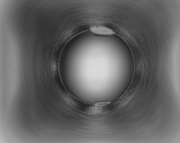 X0000116550084200912101423