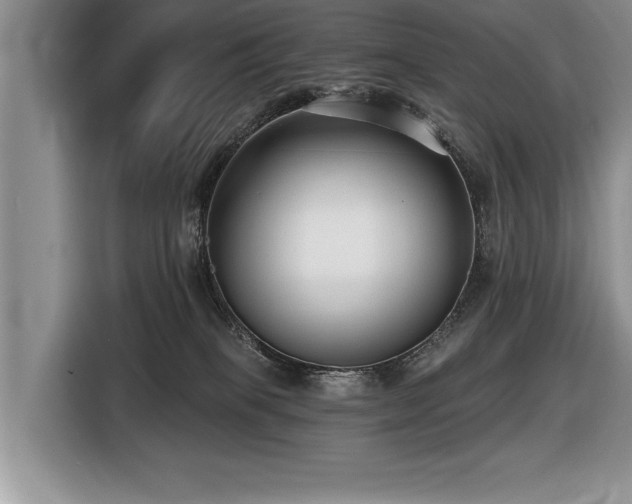 X0000116550085200912101423