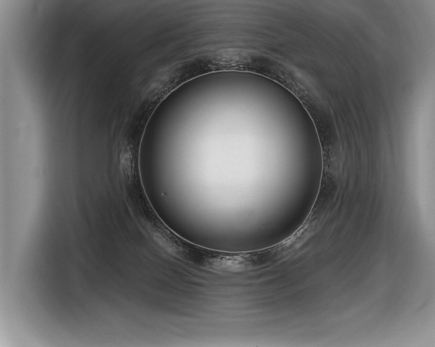 X0000116550086200912101423