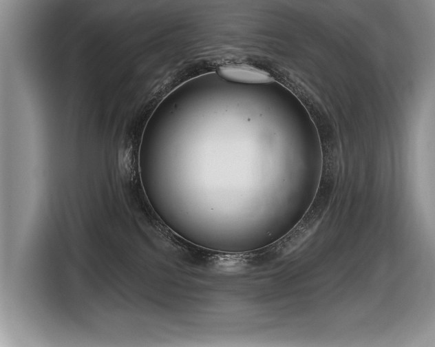 X0000116550088200912101423