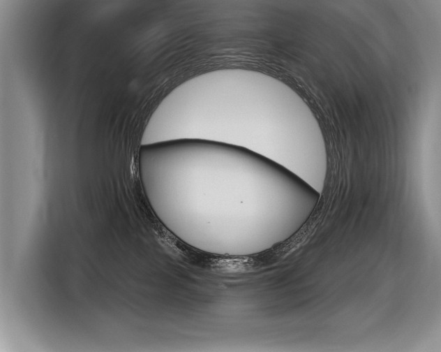 X0000116550089200912101423