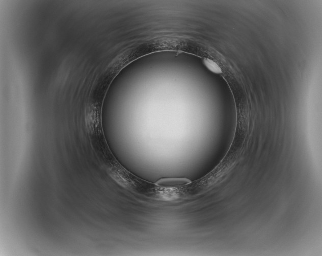 X0000116550091200912101423